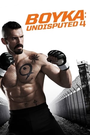Boy 2019 Hindi Movie [1GB]