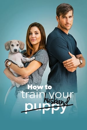 How to Train Your Husband 2018 Hindi Dual Audio 300MB