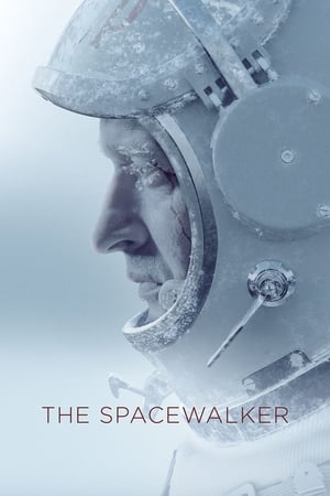 Spacewalk 2017 Hindi Dual Audio – 480p