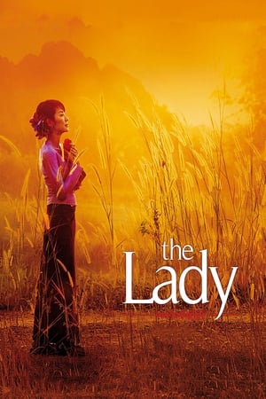 The Lady 2011 Dual Audio Hindi Movie - 920MB The Lady 2011 Dual Audio Hindi Movie - 920MB